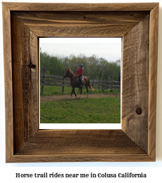 horse trail rides near me in Colusa, California